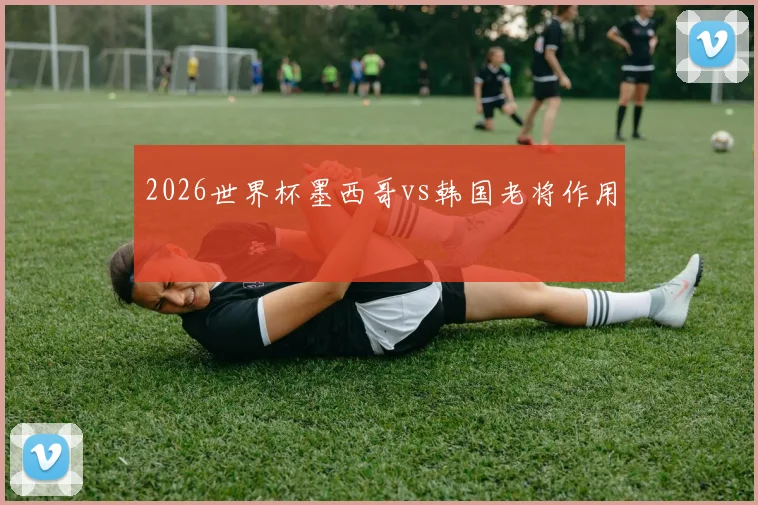 2026世界杯墨西哥vs韩国老将作用