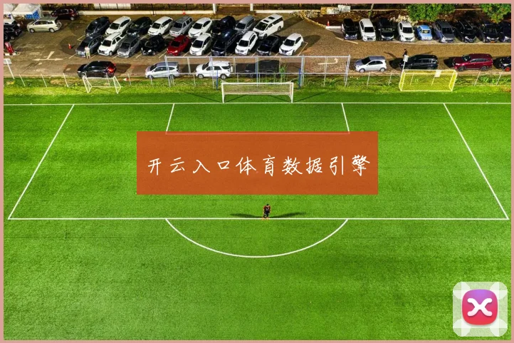 开云入口体育数据引擎