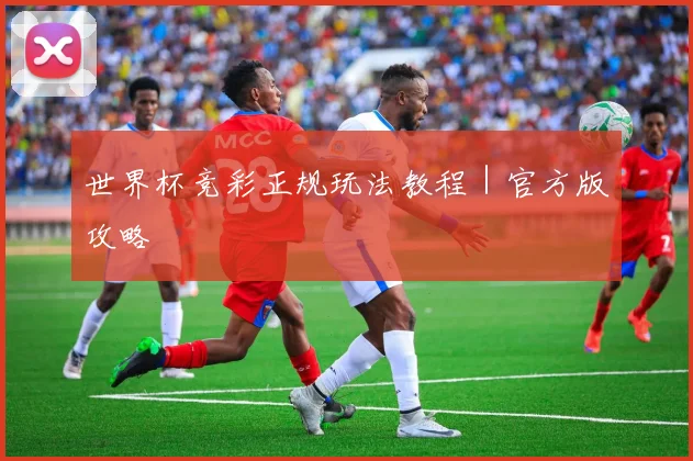 世界杯竞彩正规玩法教程｜官方版攻略