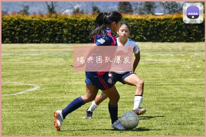 瑞典团队爆发