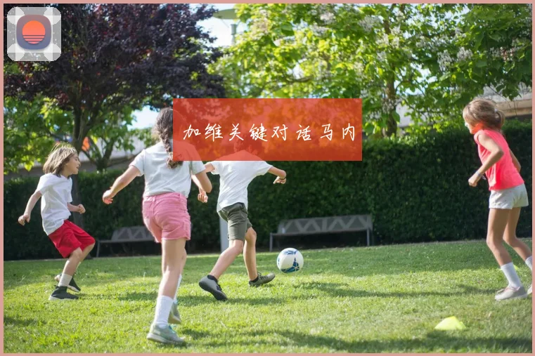 加维关键对话马内