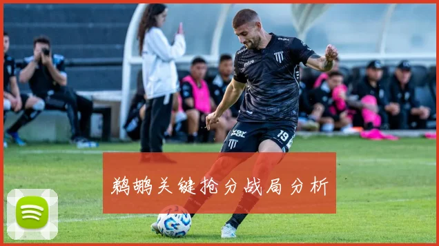 鹈鹕关键抢分战局分析