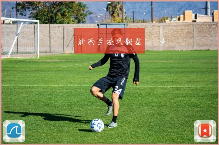 新西兰逆风翻盘