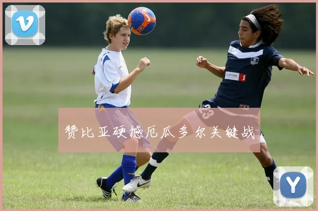 赞比亚硬撼厄瓜多尔关键战