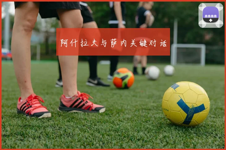 阿什拉夫与萨内关键对话
