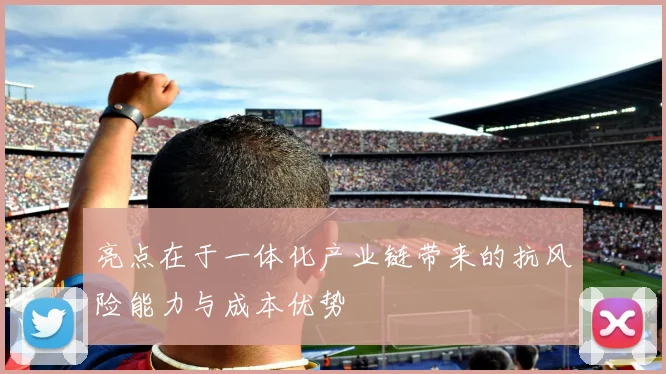 亮点在于一体化产业链带来的抗风险能力与成本优势