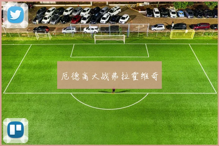 厄德高大战弗拉霍维奇