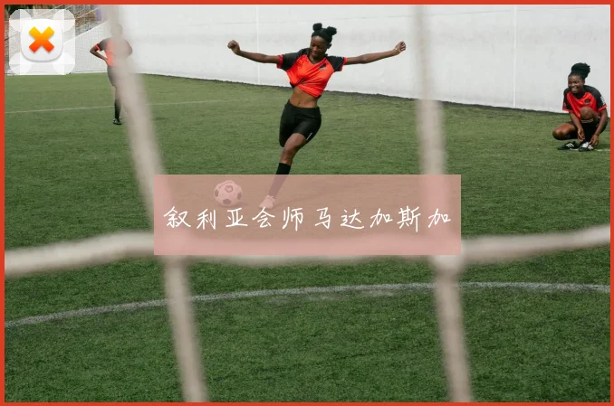 叙利亚会师马达加斯加