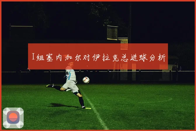 I组塞内加尔对伊拉克总进球分析