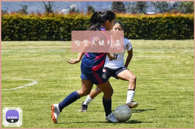 哈登关键封盖