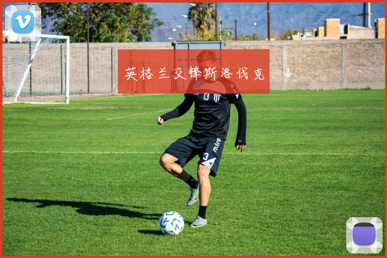 英格兰交锋斯洛伐克