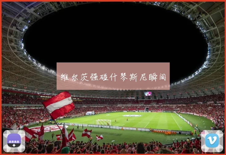 维尔茨强碰什琴斯尼瞬间