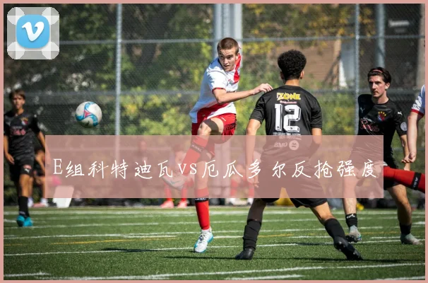 E组科特迪瓦vs厄瓜多尔反抢强度