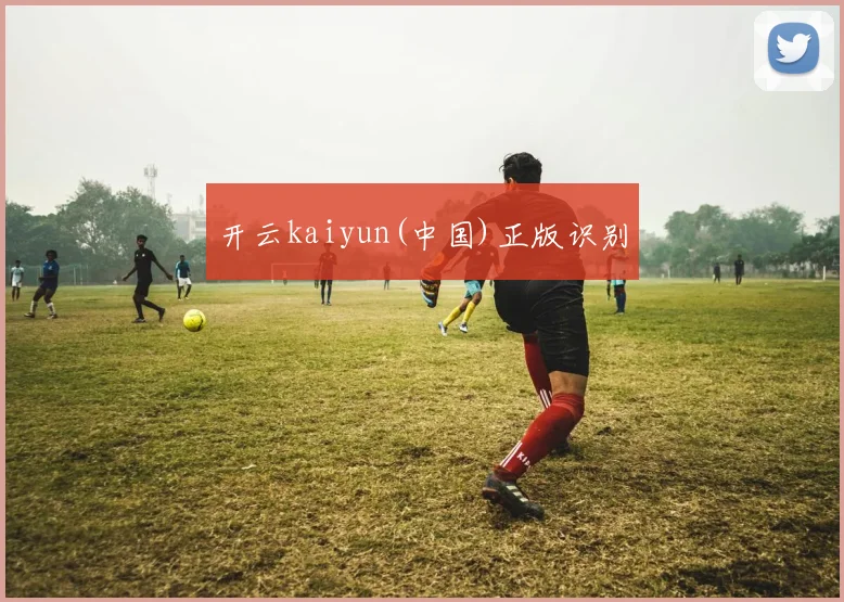 开云kaiyun(中国)正版识别