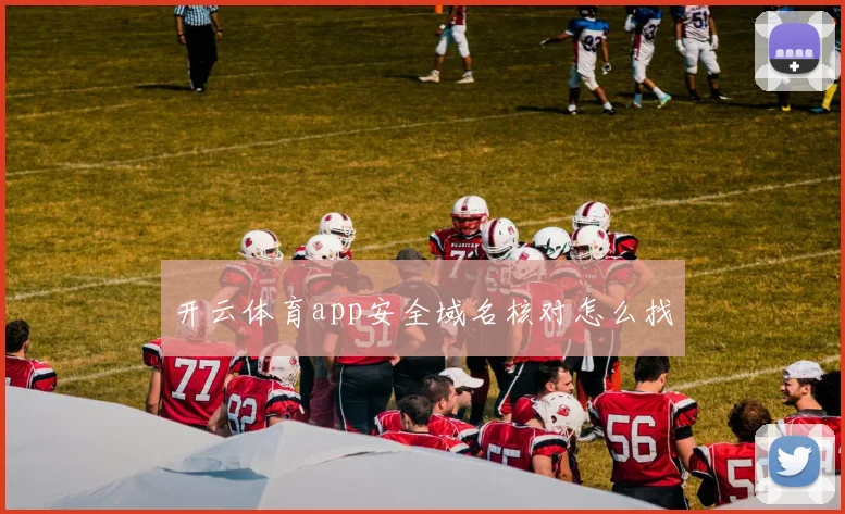 开云体育app安全域名核对怎么找