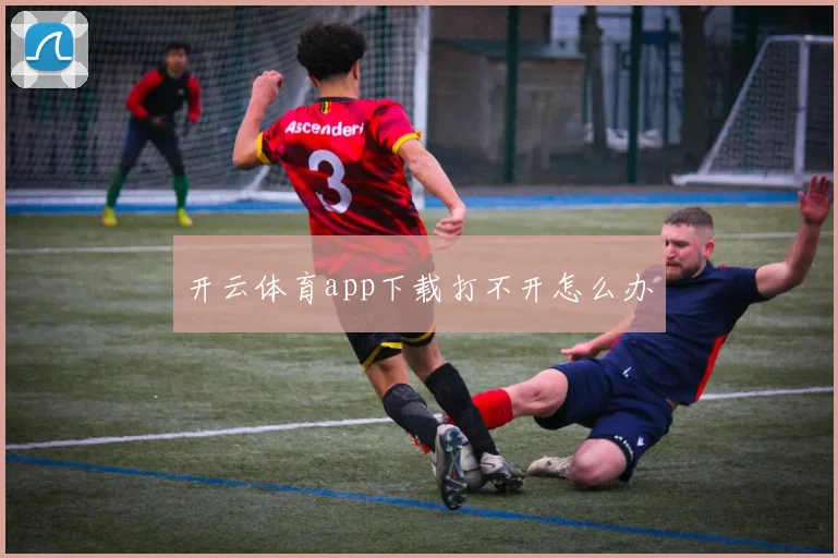开云体育app下载打不开怎么办