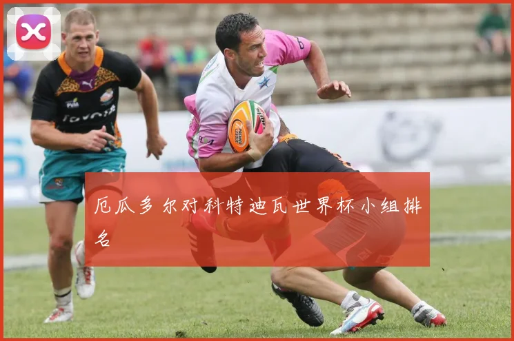 厄瓜多尔对科特迪瓦世界杯小组排名
